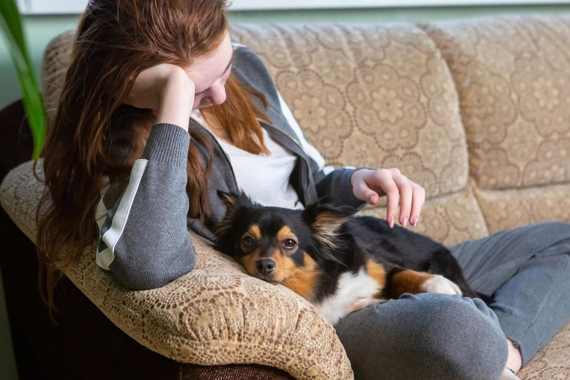 Helping Your Pet Feel Safe in an Unpredictable World