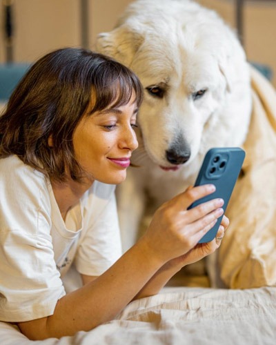Pet wellness plan options at Canyon View Cares in Orem, UT