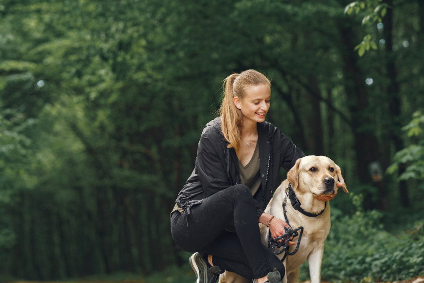 From Backyard Escapes to Wildlife Encounters: Why Spaying and Neutering Helps Protect Pets